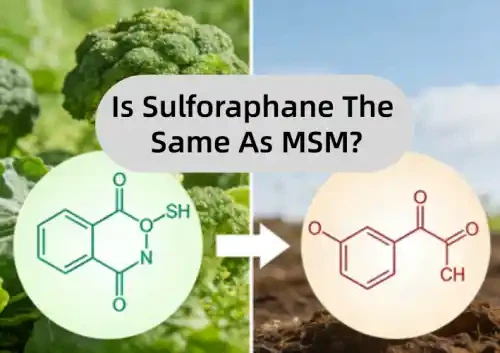 Is Sulforaphane The Same As MSM Is Sulforaphane The Same As MSM
